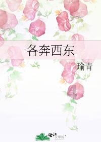 逃出昏暗的房子